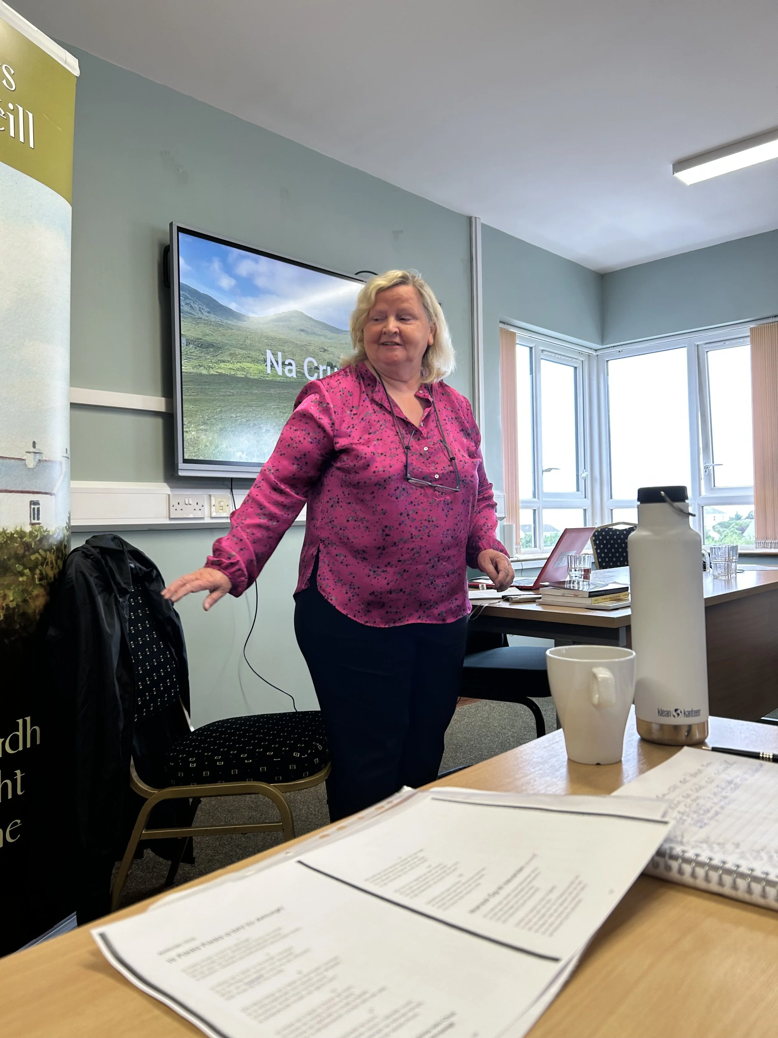 Stair na gCruach le hÁine Ní Dhíoraí