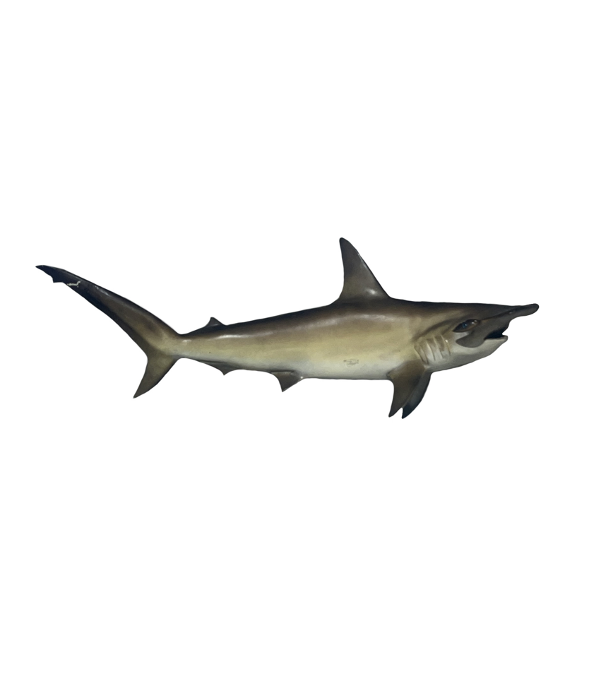 Screenshot 2026-03-09 at 1.22.18 PM.png