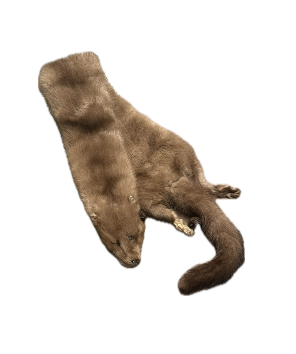 Screenshot 2025-10-02 at 11.54.13 AM.png