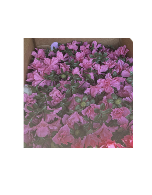 Screenshot 2025-09-27 at 2.47.57 PM.png