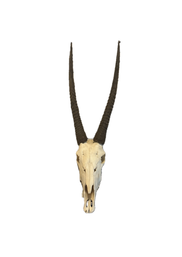 Screenshot 2025-12-31 at 9.40.29 AM.png