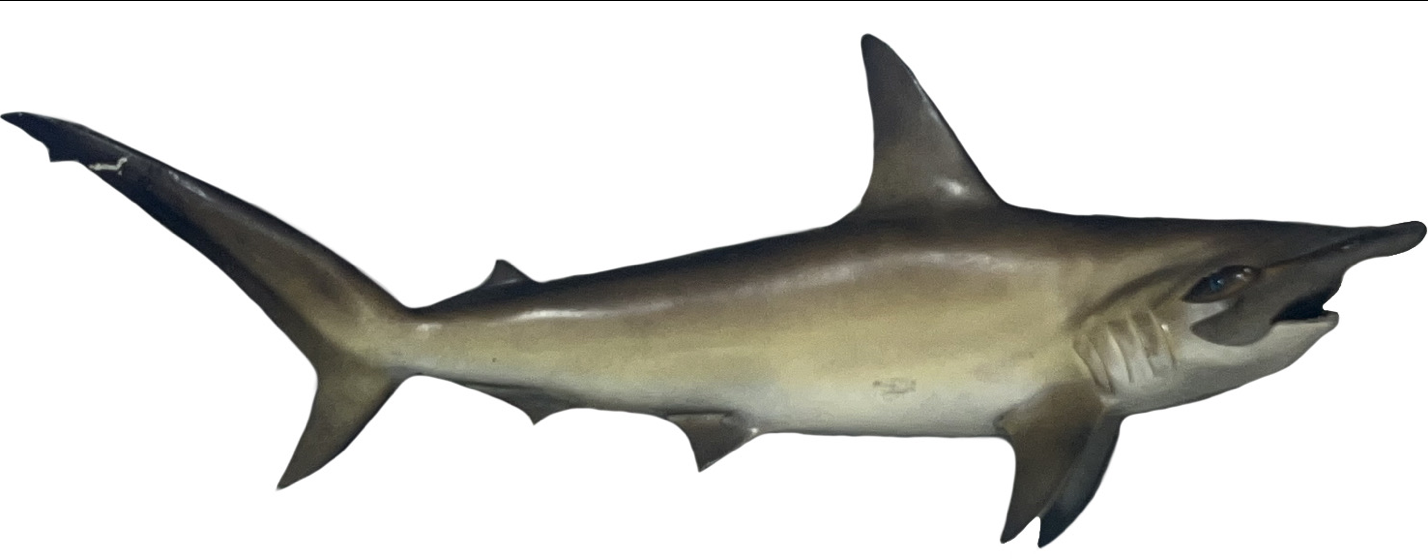 Screenshot 2024-10-08 at 3.19.12 PM.png