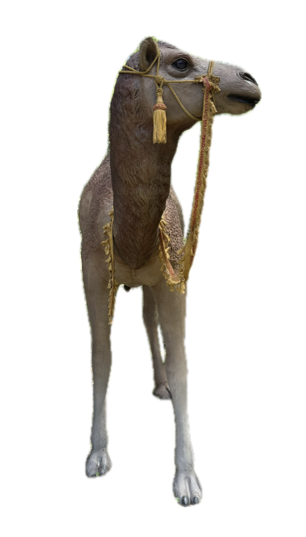 Screenshot 2025-09-27 at 12.51.54 PM.png