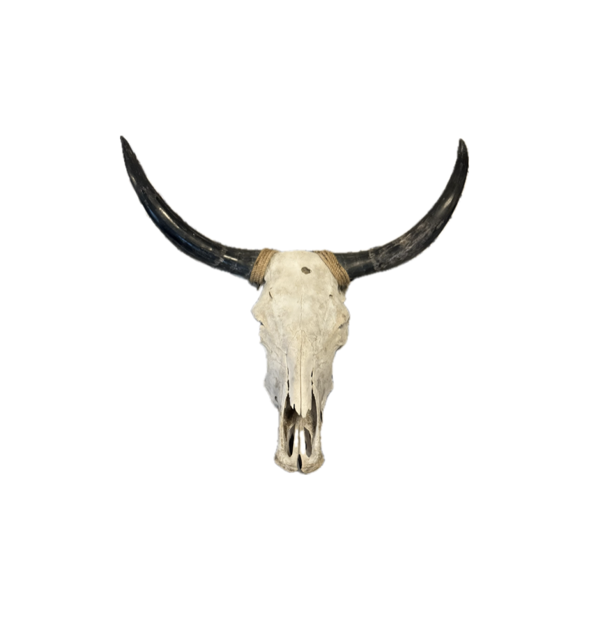 Screenshot 2025-12-31 at 9.39.39 AM.png