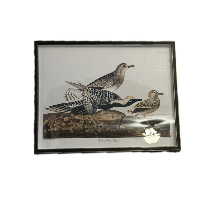 Screenshot 2025-10-02 at 11.58.20 AM.png