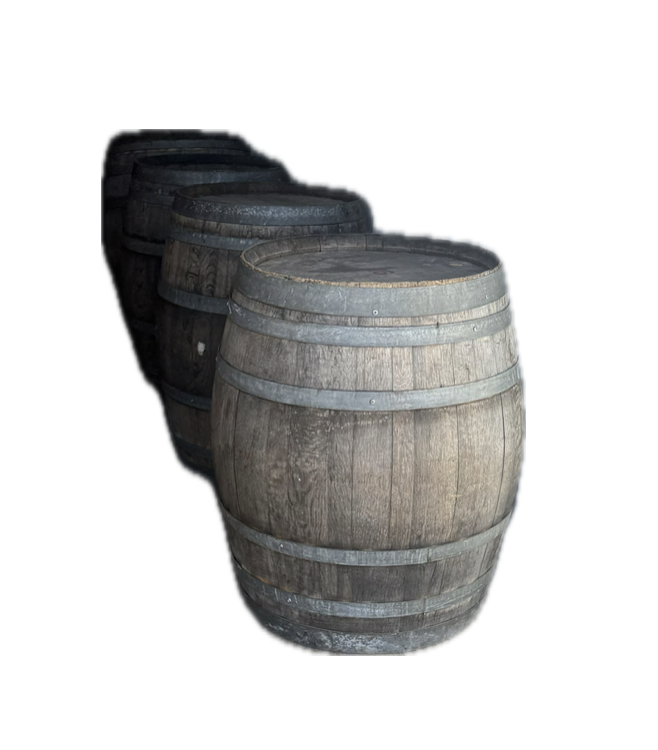 Screenshot 2026-03-17 at 12.57.27 PM.png