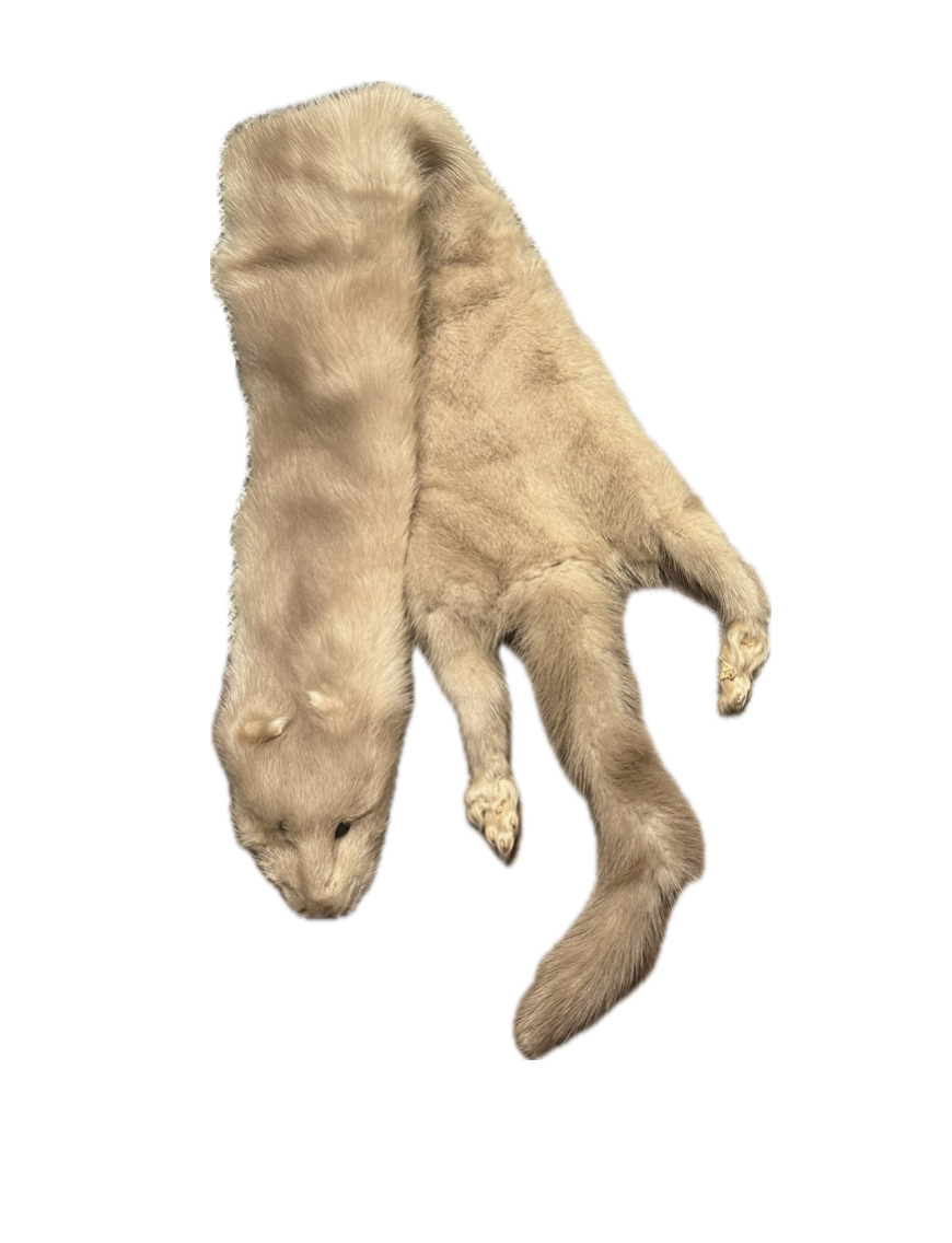 Screenshot 2025-10-02 at 11.53.59 AM.png