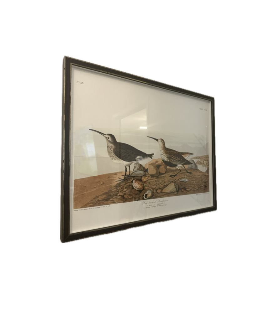 Screenshot 2025-10-02 at 11.59.05 AM.png