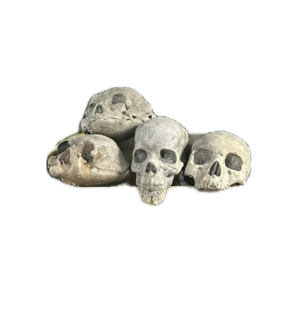 Screenshot 2025-10-03 at 10.36.04 AM.png