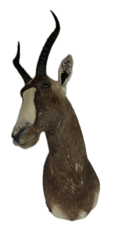 Screenshot 2025-09-27 at 12.39.23 PM.png