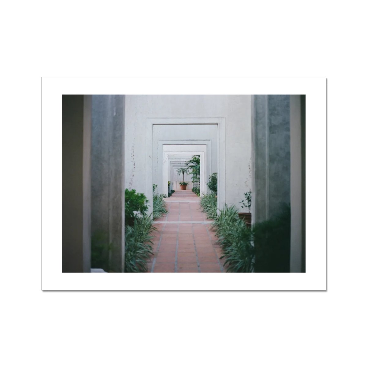 prodigi-GLOBAL-HPR-12X16.png