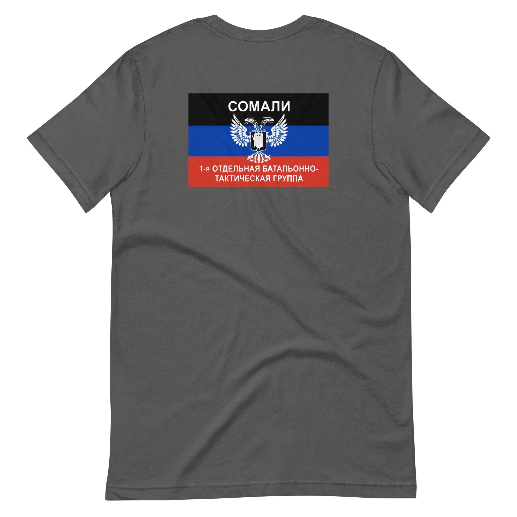 unisex-staple-t-shirt-asphalt-back-665a9e4f9c034.jpg