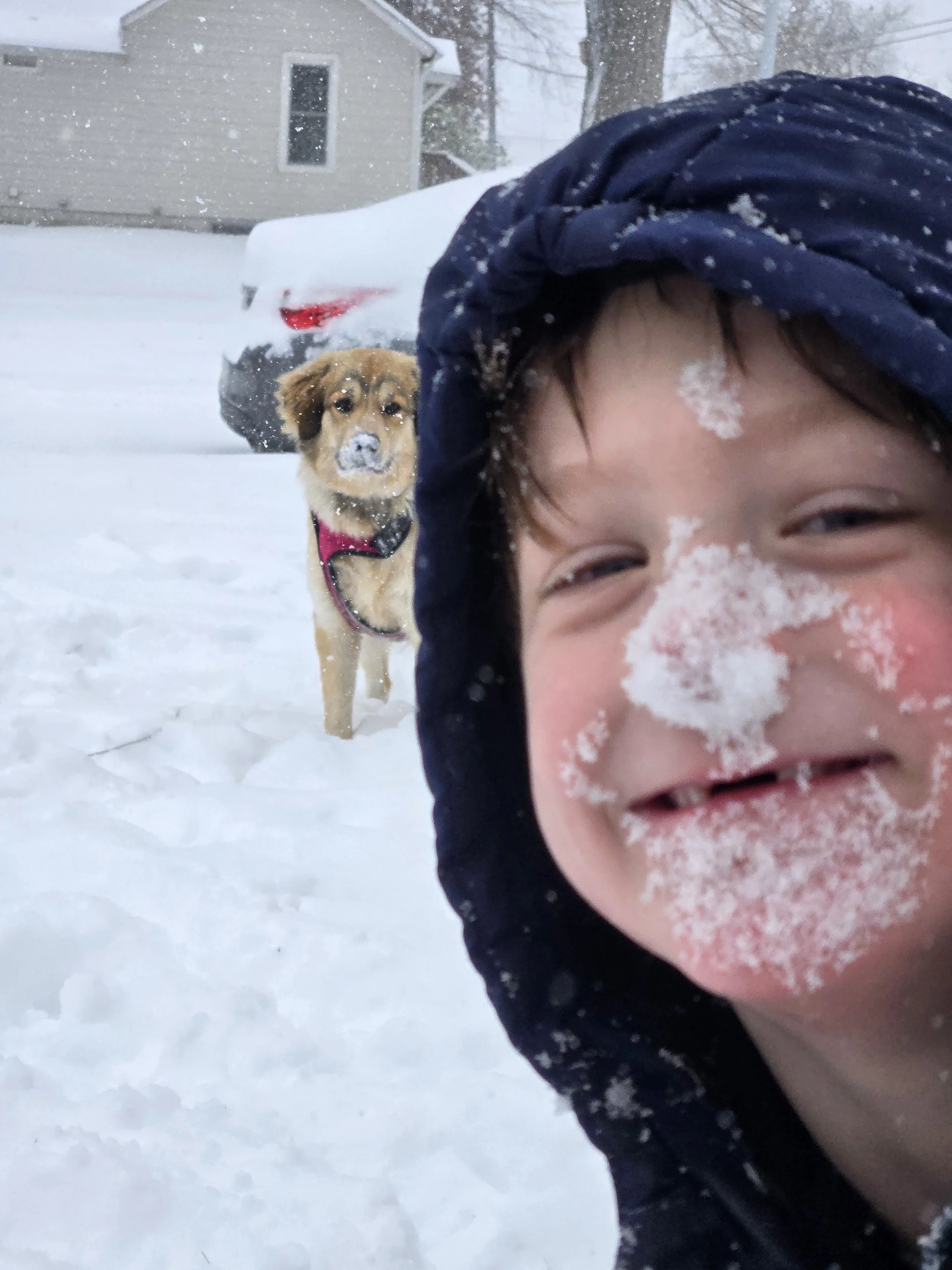 Child with snow on face smiling outdoors in the snow, with a brown dog wearing a pink harness in the background and snow-covered cars and house.