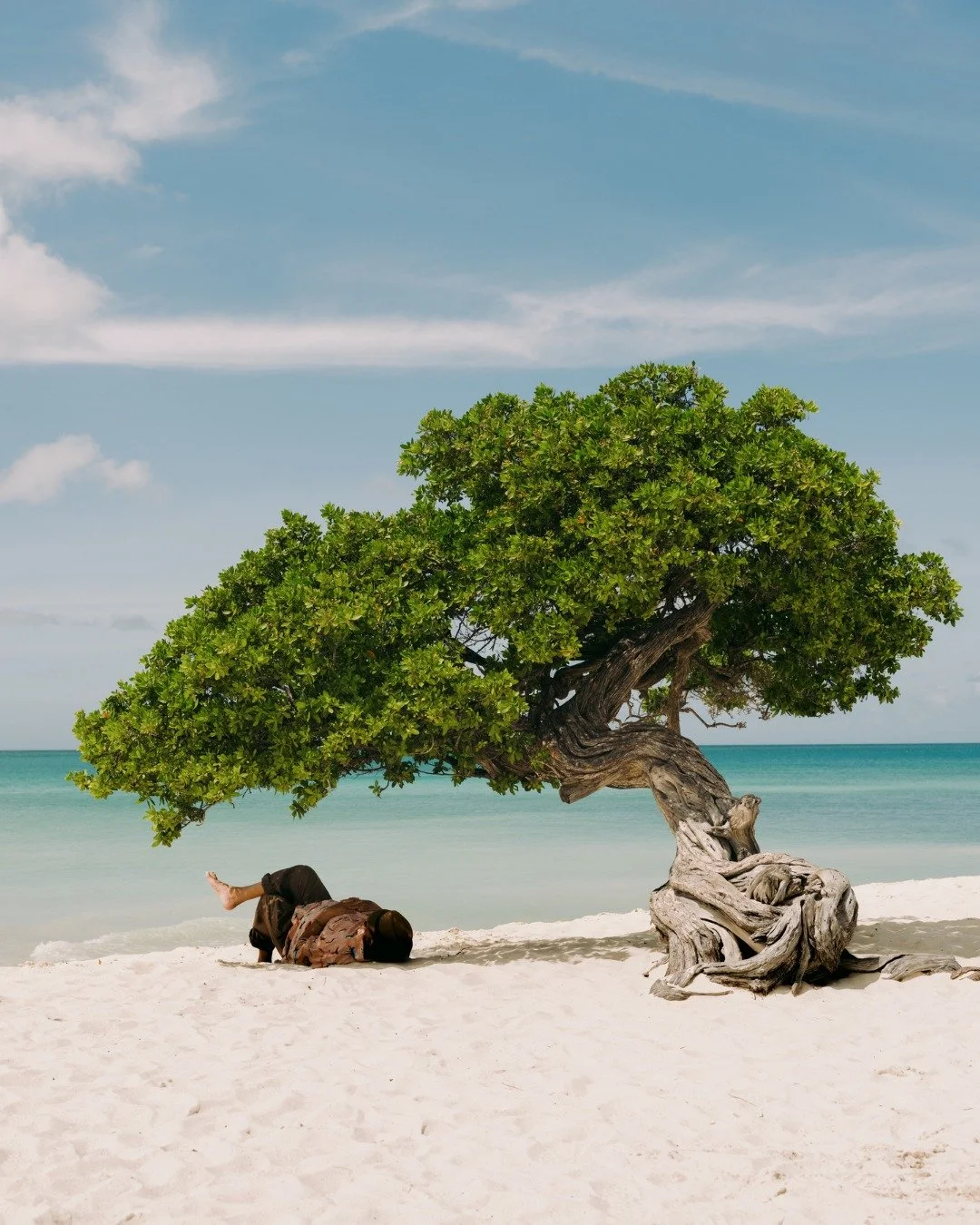 Discover the natural beauty of Aruba's stunning beaches, cave pools, hiking trails, and more through low-impact travel. 🌊

Reach out to me for meaningful moments, authentic experiences, and conscious traveling in Aruba. 🌳 🩴 #TravelBetter #Aruba