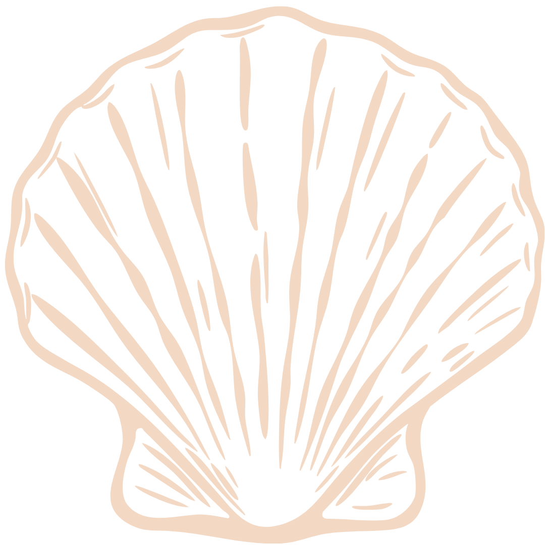 Line drawing of a scallop seashell on a black background.