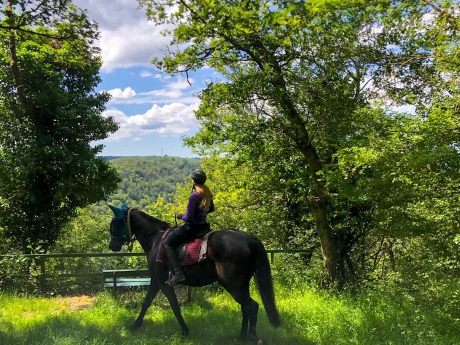 3 Tägiger Ausritt: Frühlingszauber