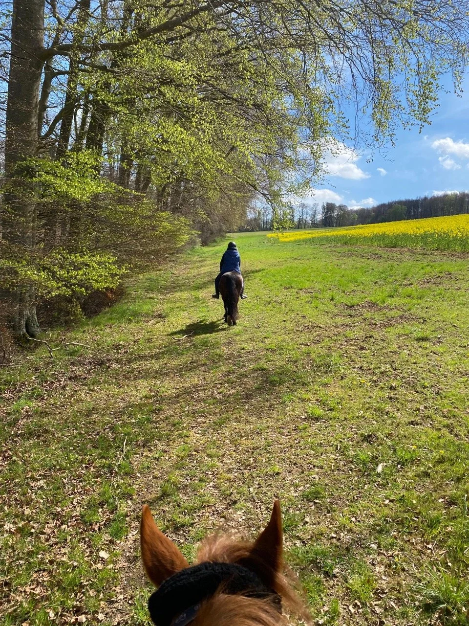 3 Tägiger Ausritt: Sommertraum