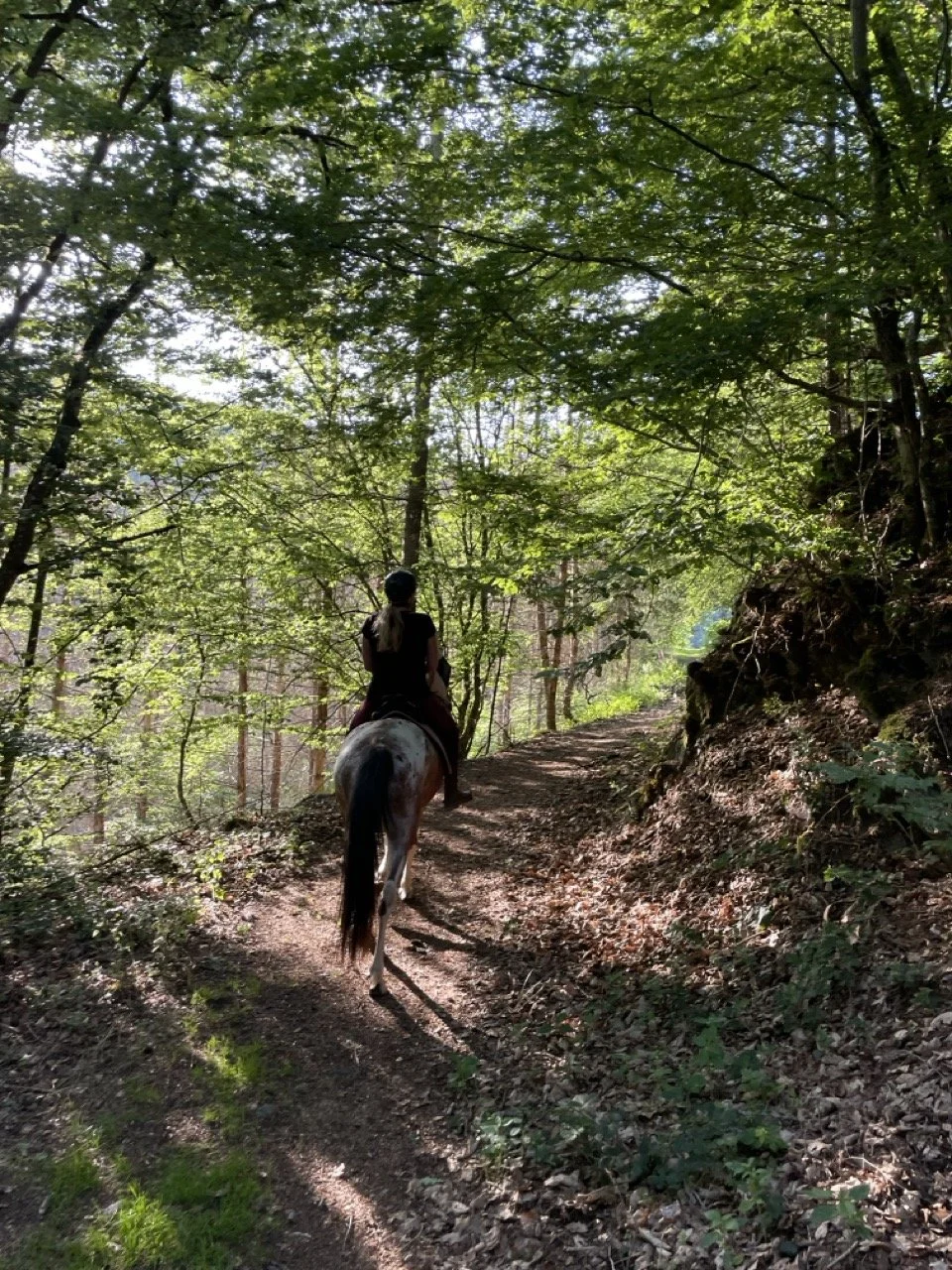 4 Tägiger Ausritt: Sternritt