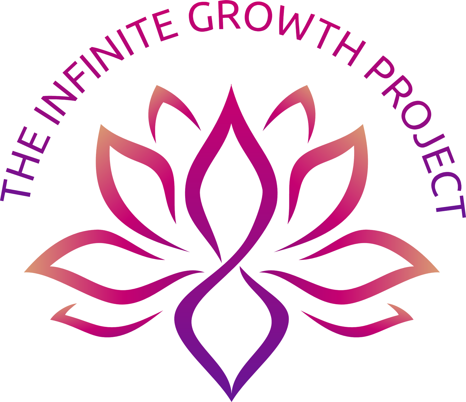the infinite growth project