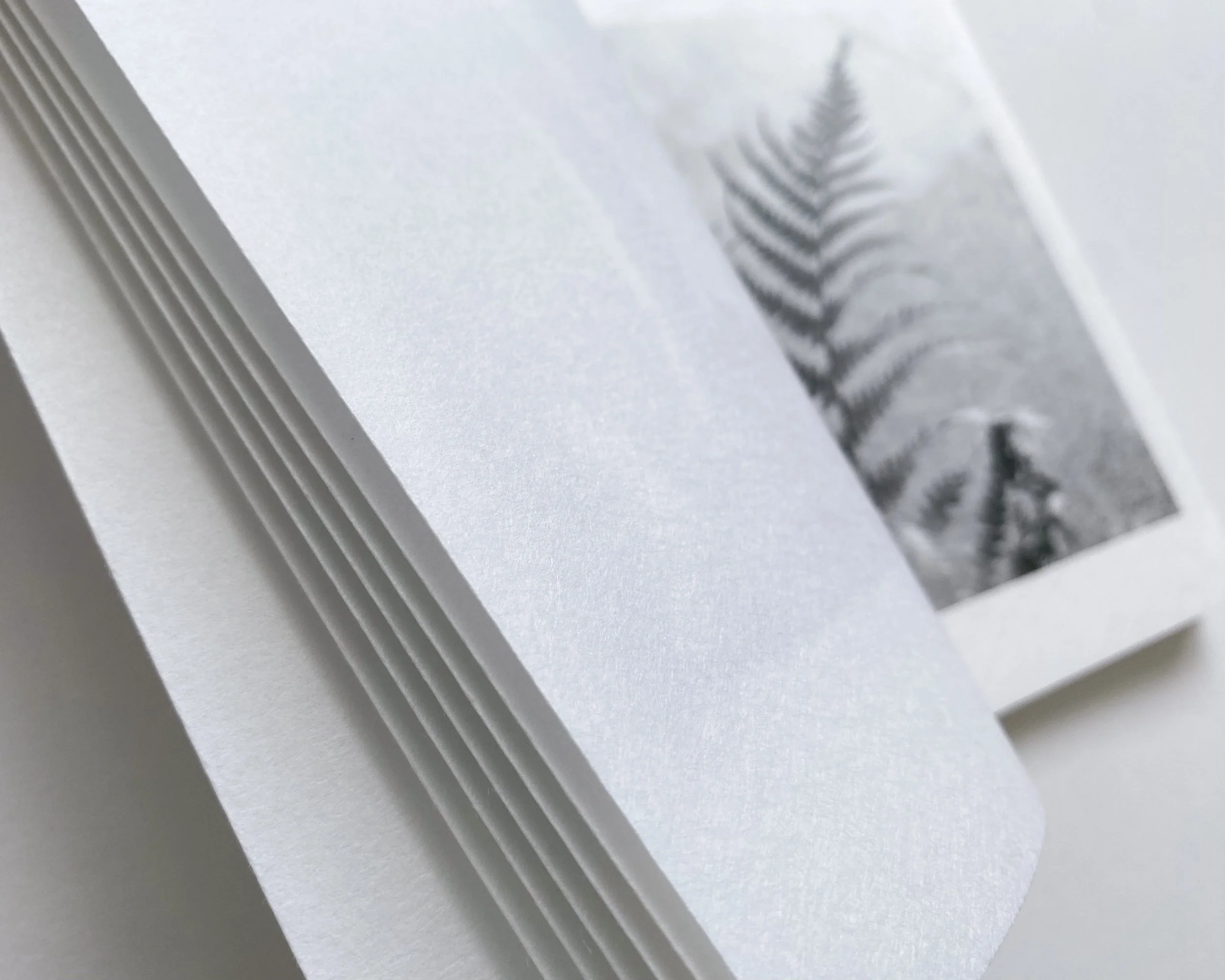 try again againxx-5.jpg