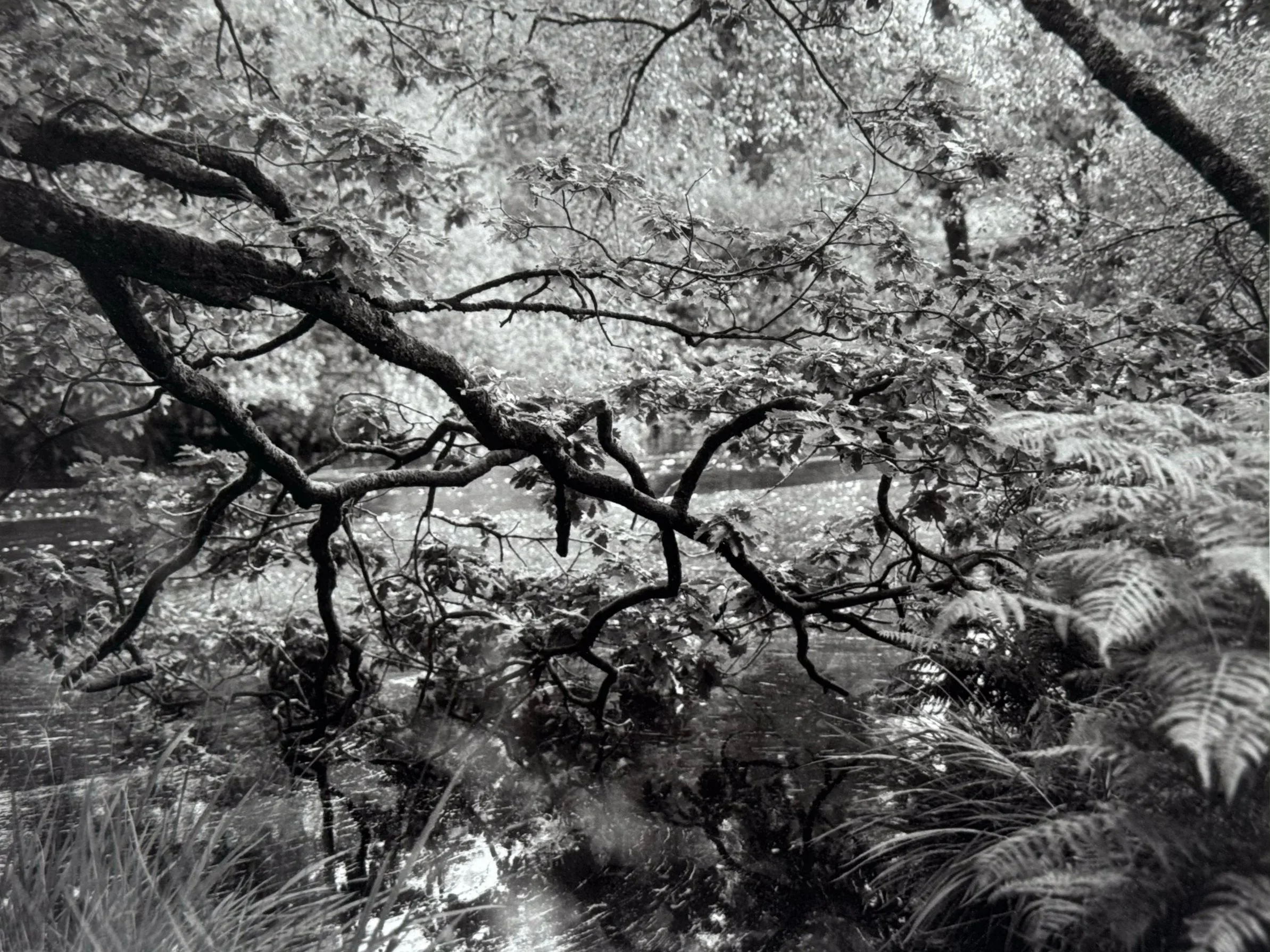 By+This+River+Print+1.jpg