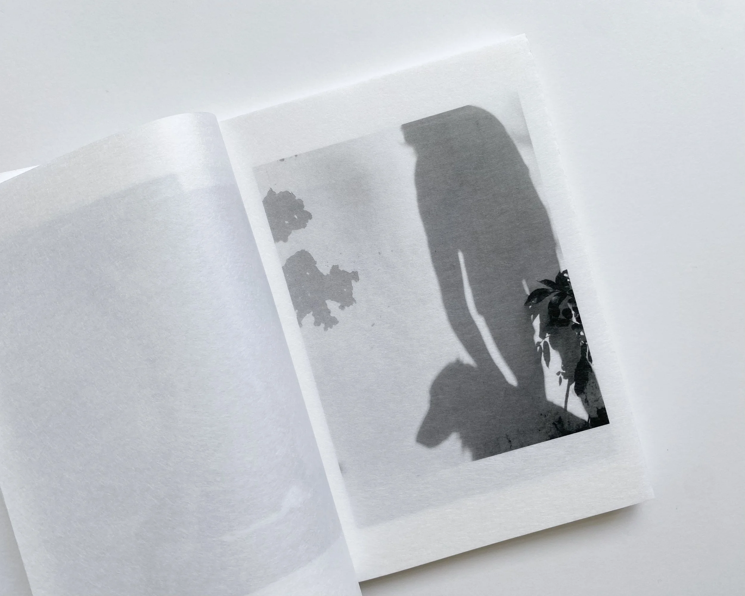 try again againxx-4.jpg