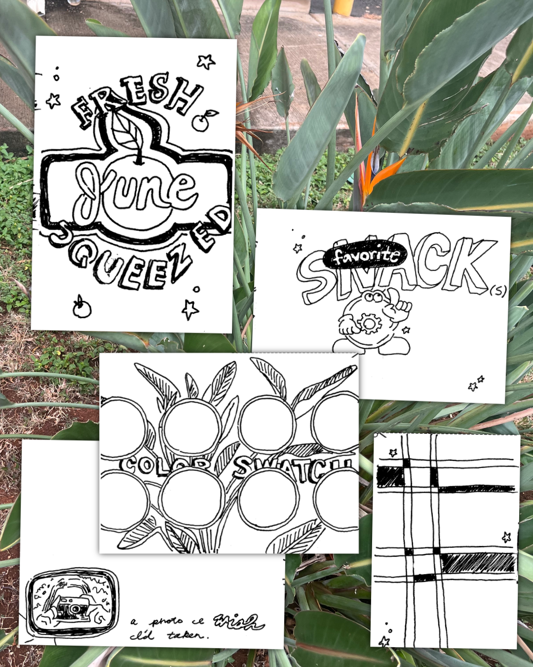 six months of zines-21.PNG