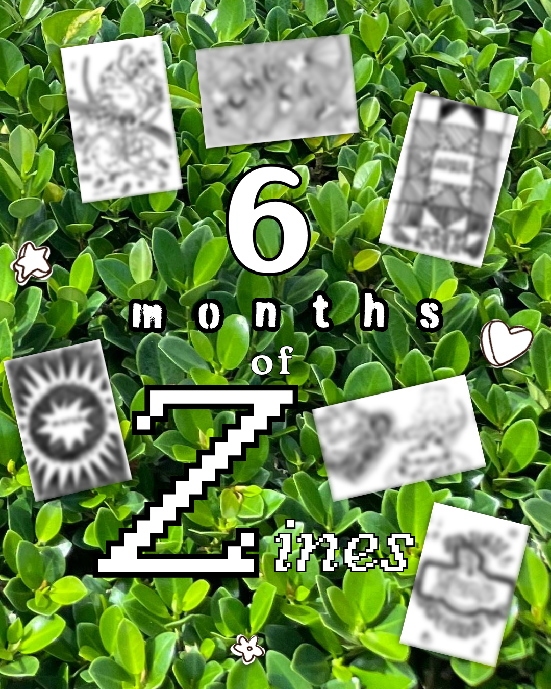 6 months, 6 zines
