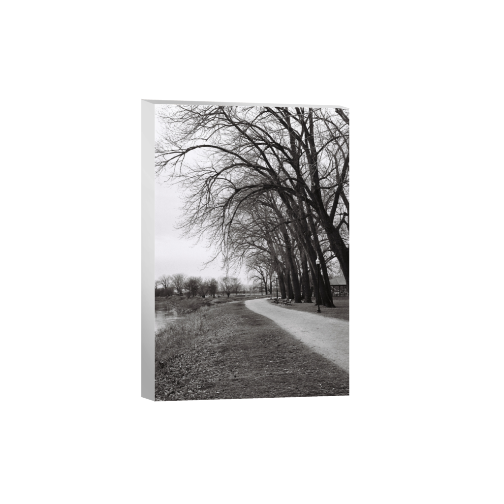 ptq_7_3_16_0_2400_3601_0_false_ffffff_0_0_.png