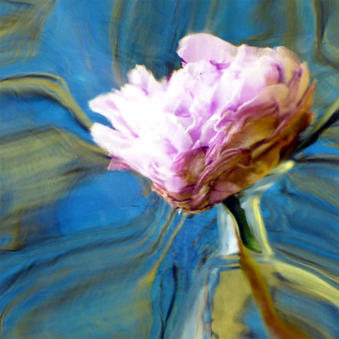 Peony1a.jpg