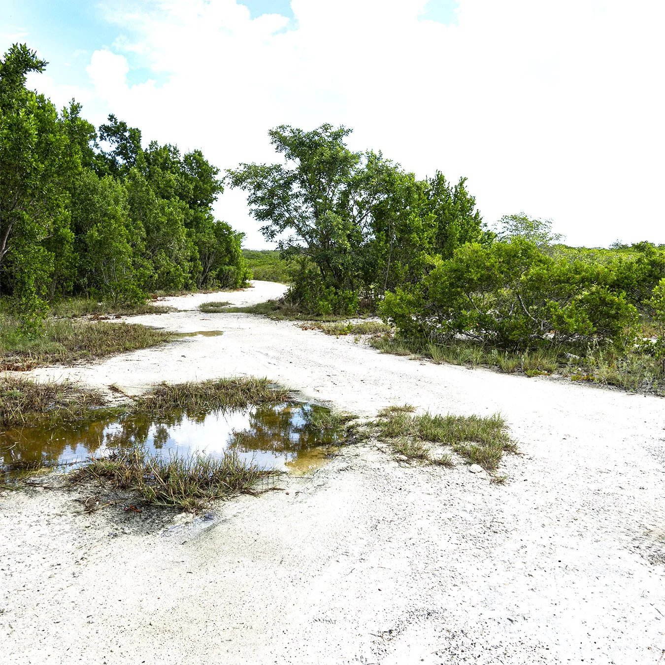 Paths16b.jpg