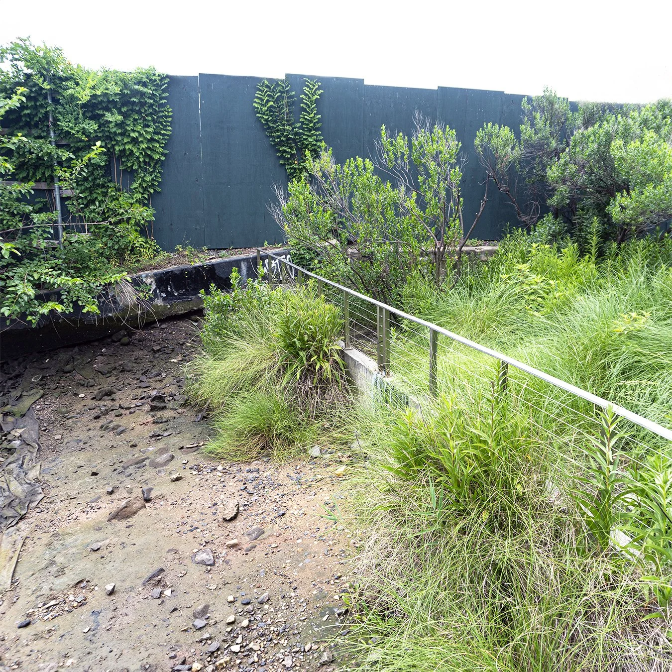 Canal183b.jpg