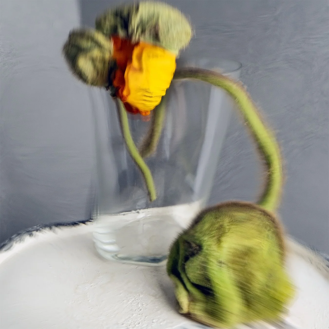 Canal164b.jpg