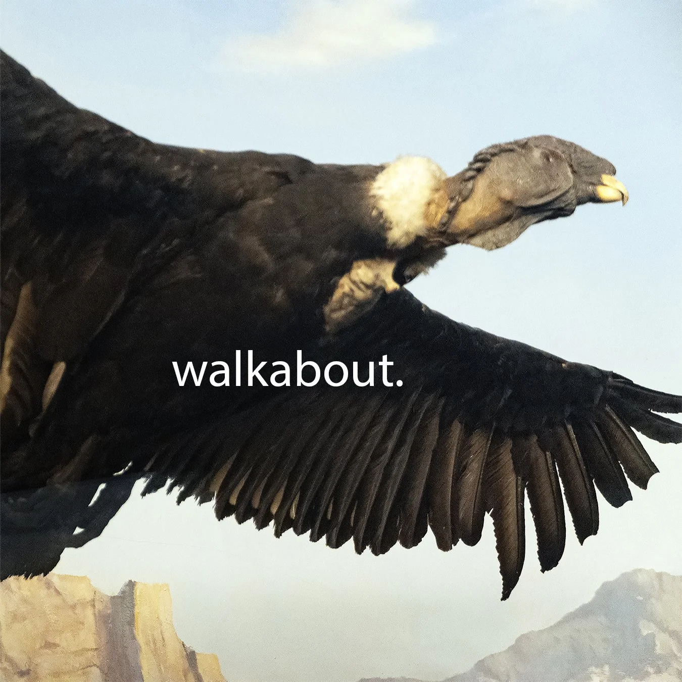 Seeing17c.jpg