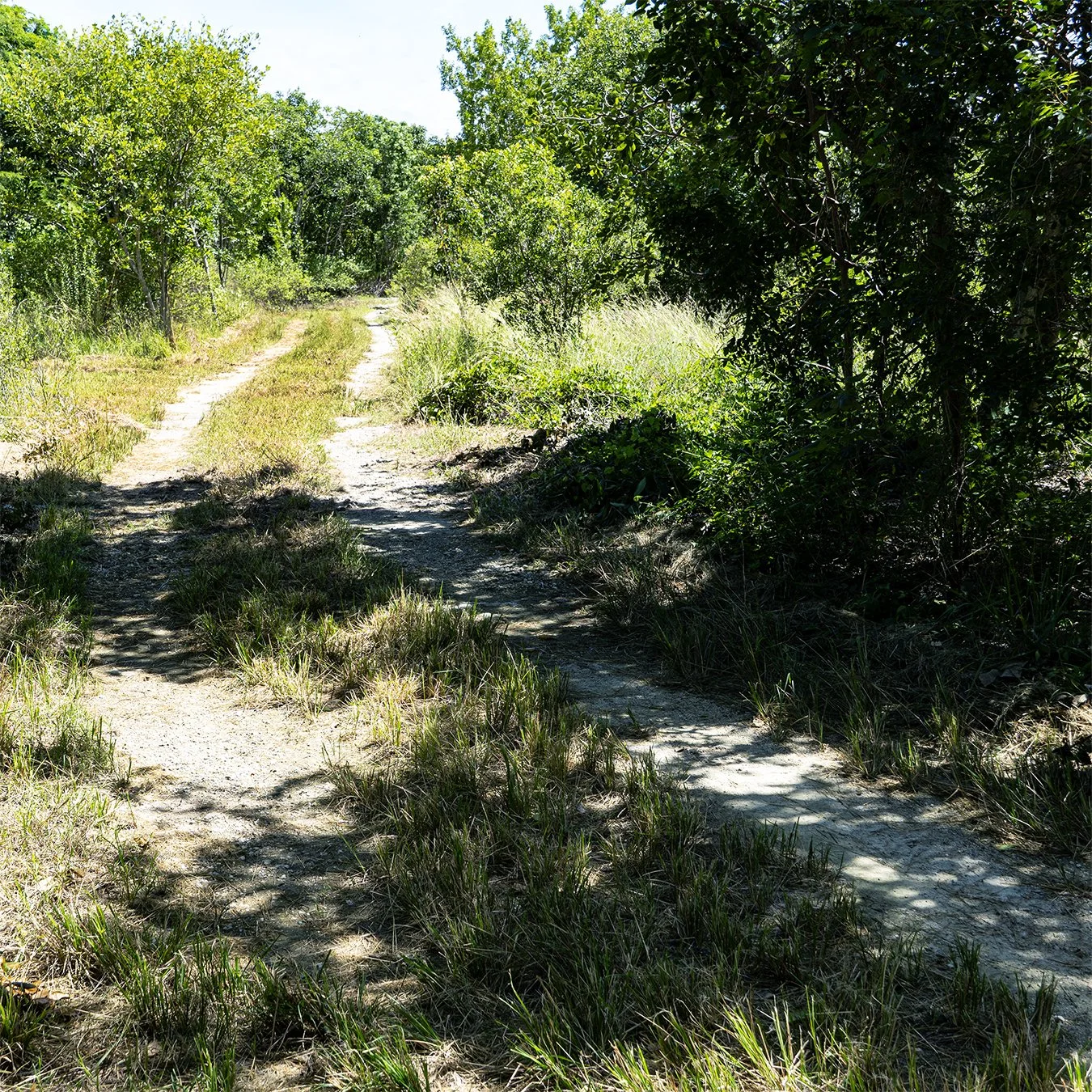 Paths8b.jpg