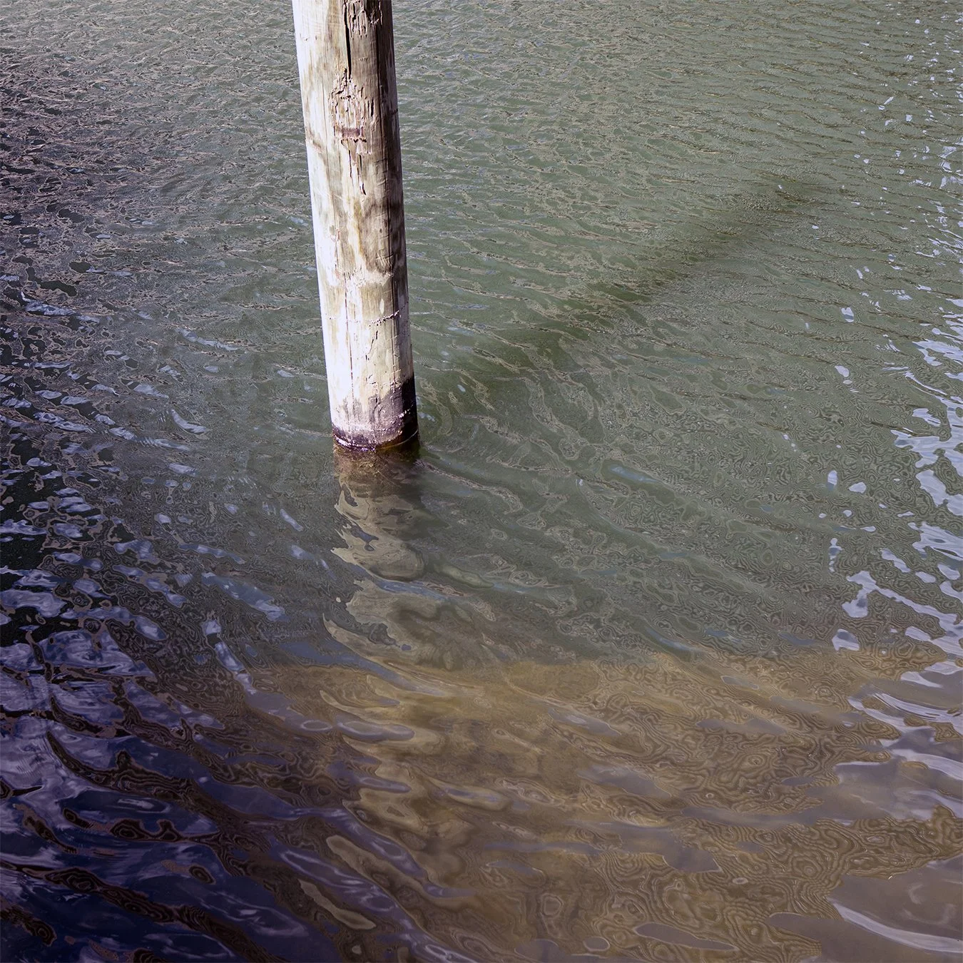 Canal204b.jpg