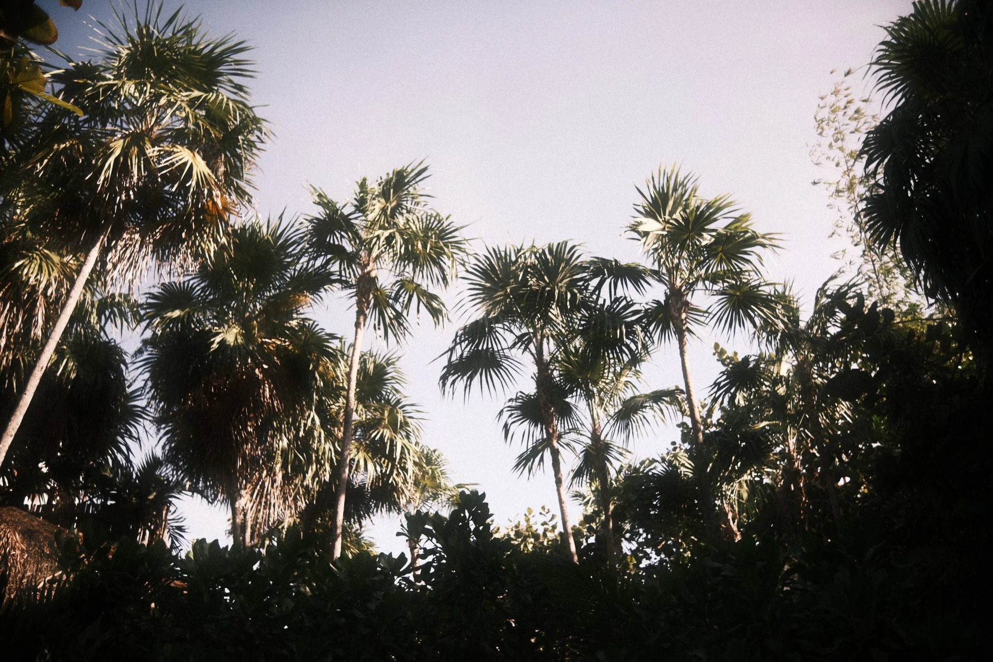 _DSF7271.jpg
