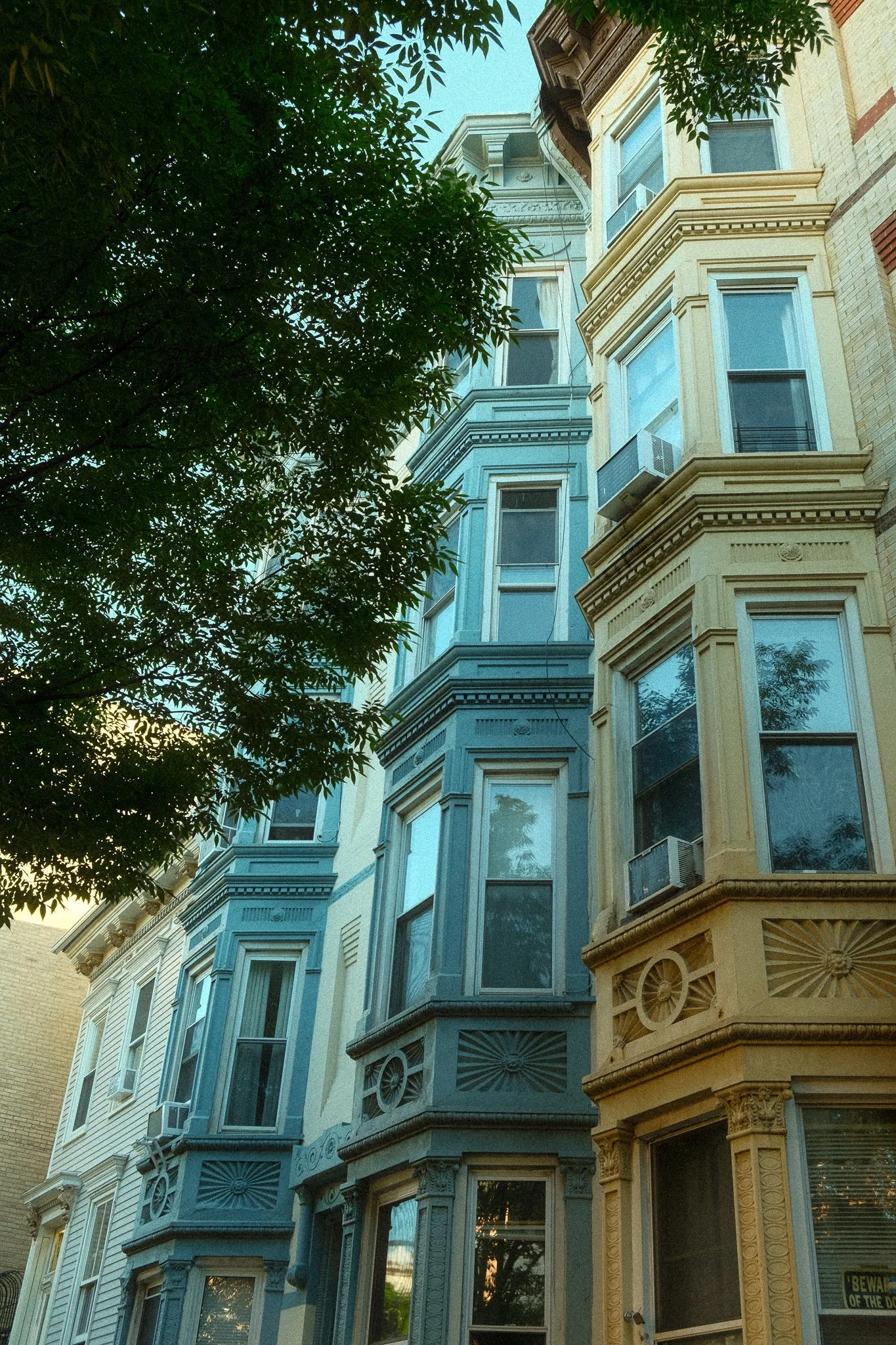 _DSF0159.jpg