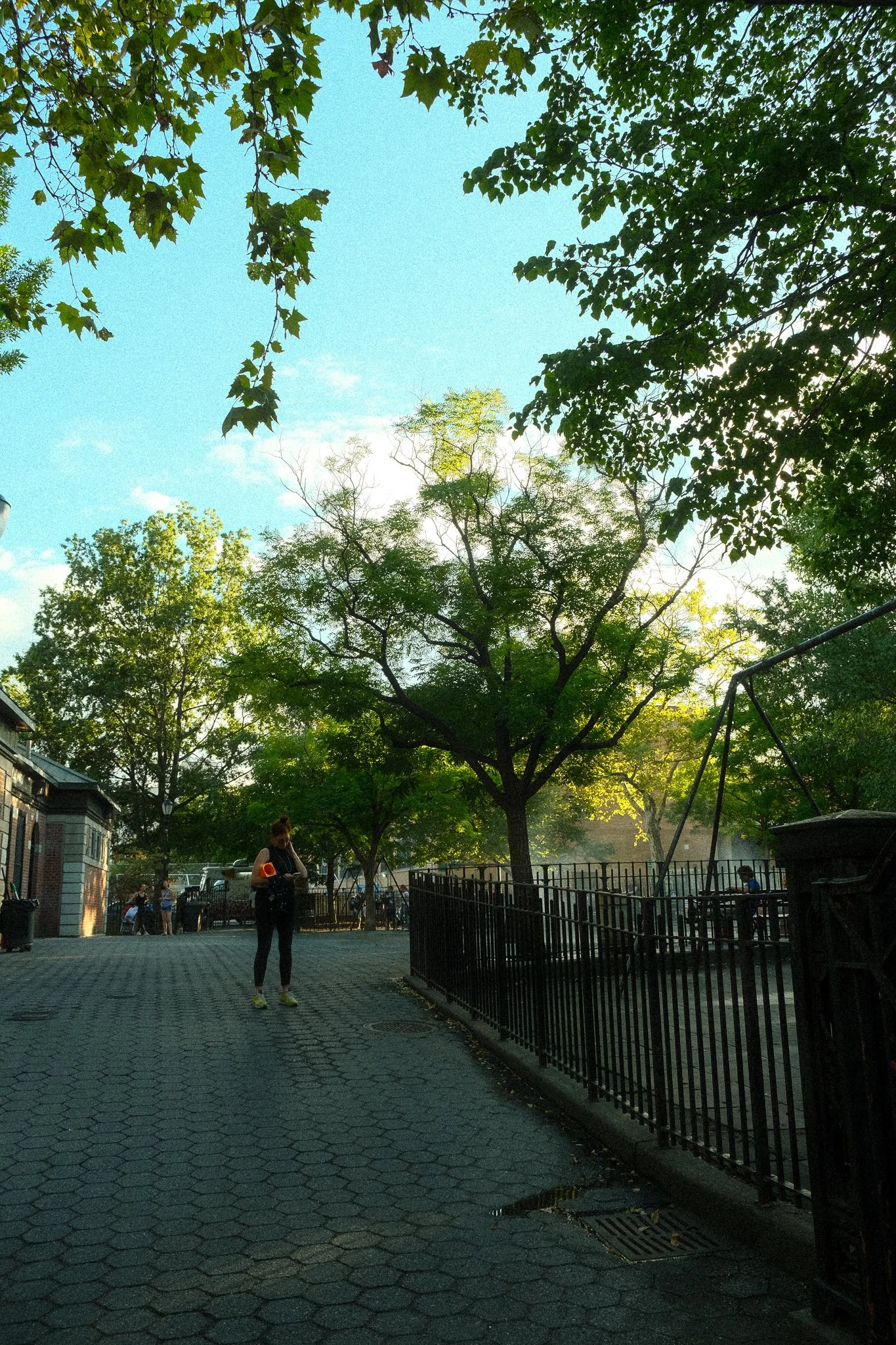 _DSF0124.jpg