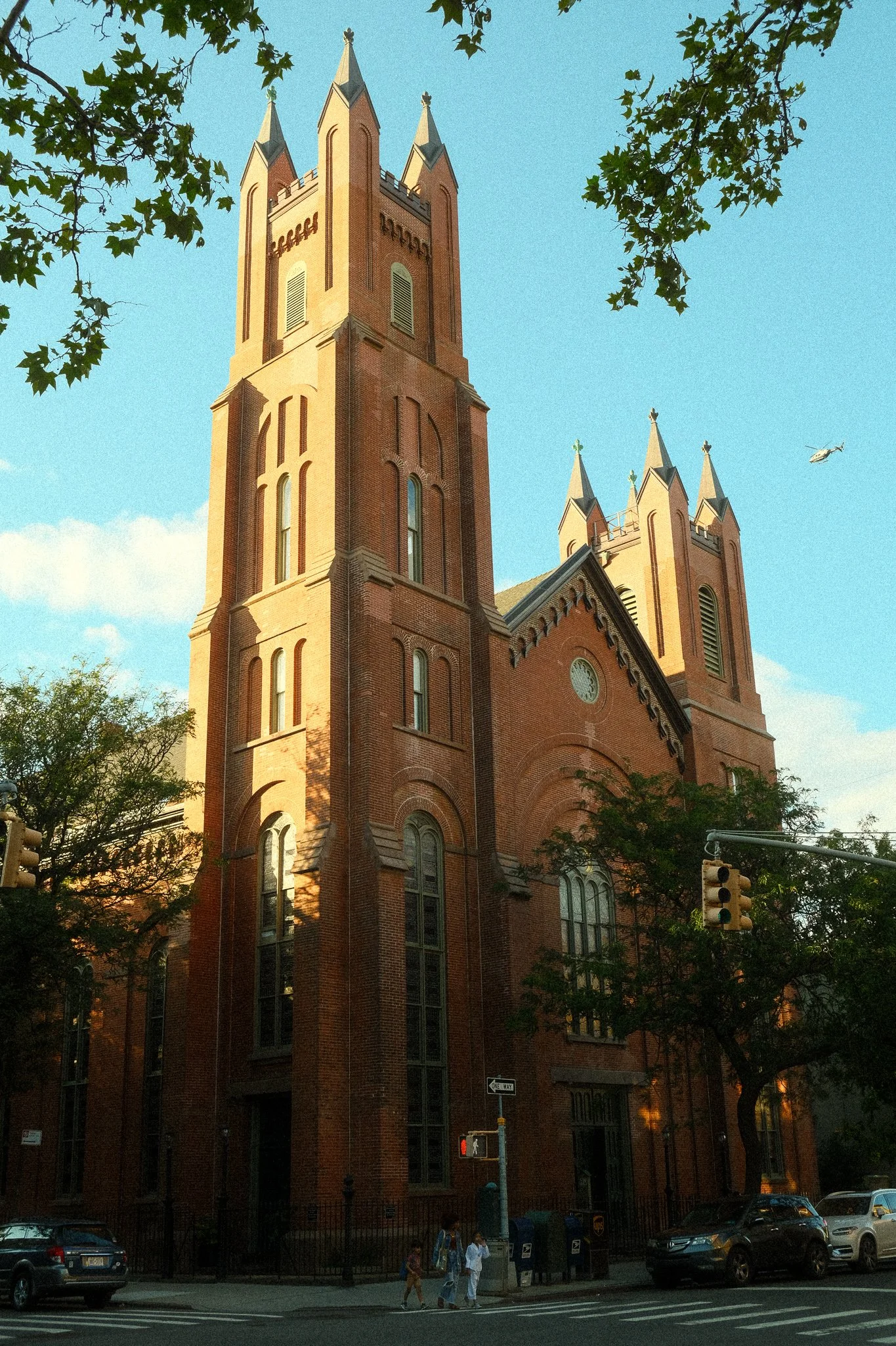_DSF0138.jpg