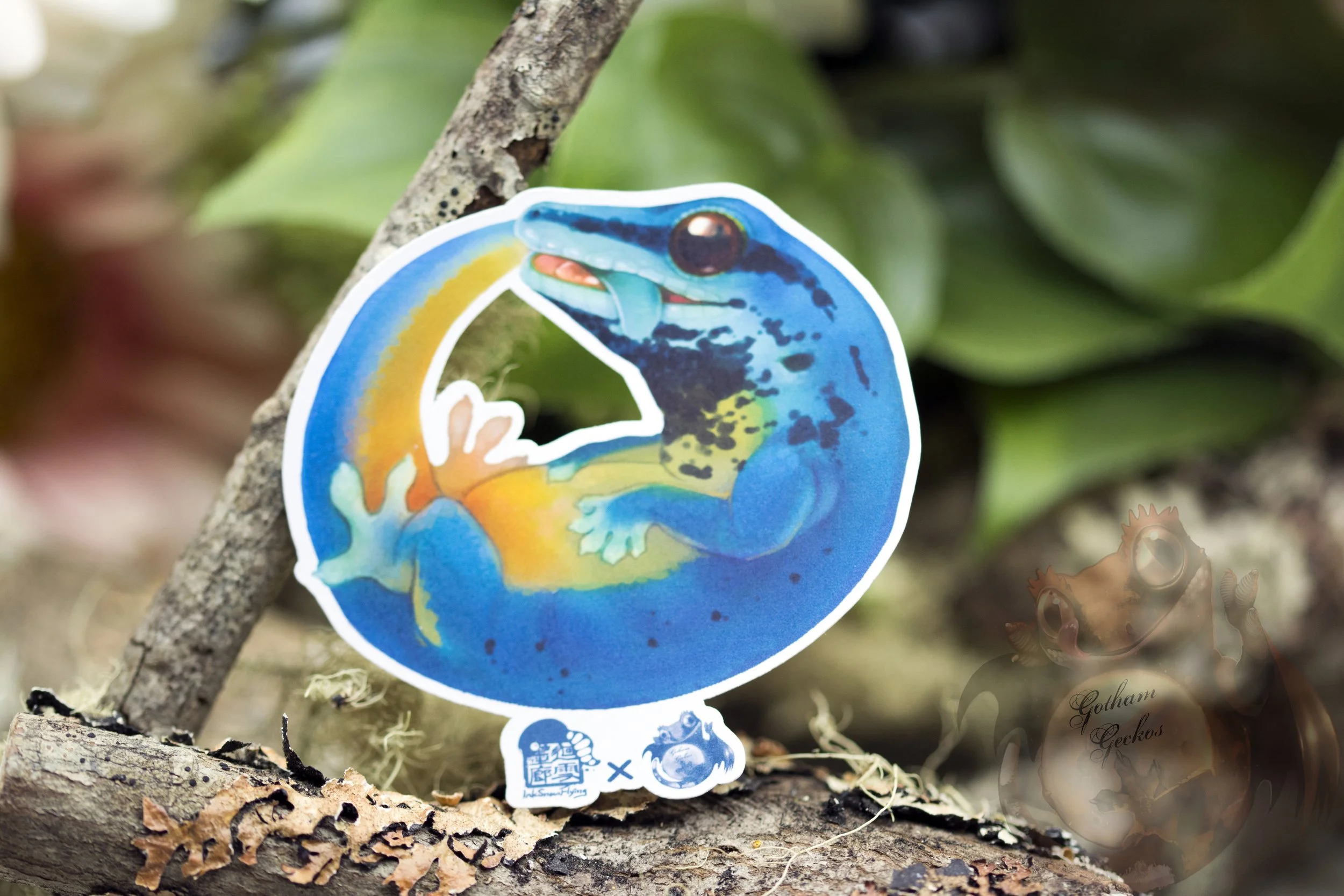 Lygodactylus Williamsi Planner Sticker
