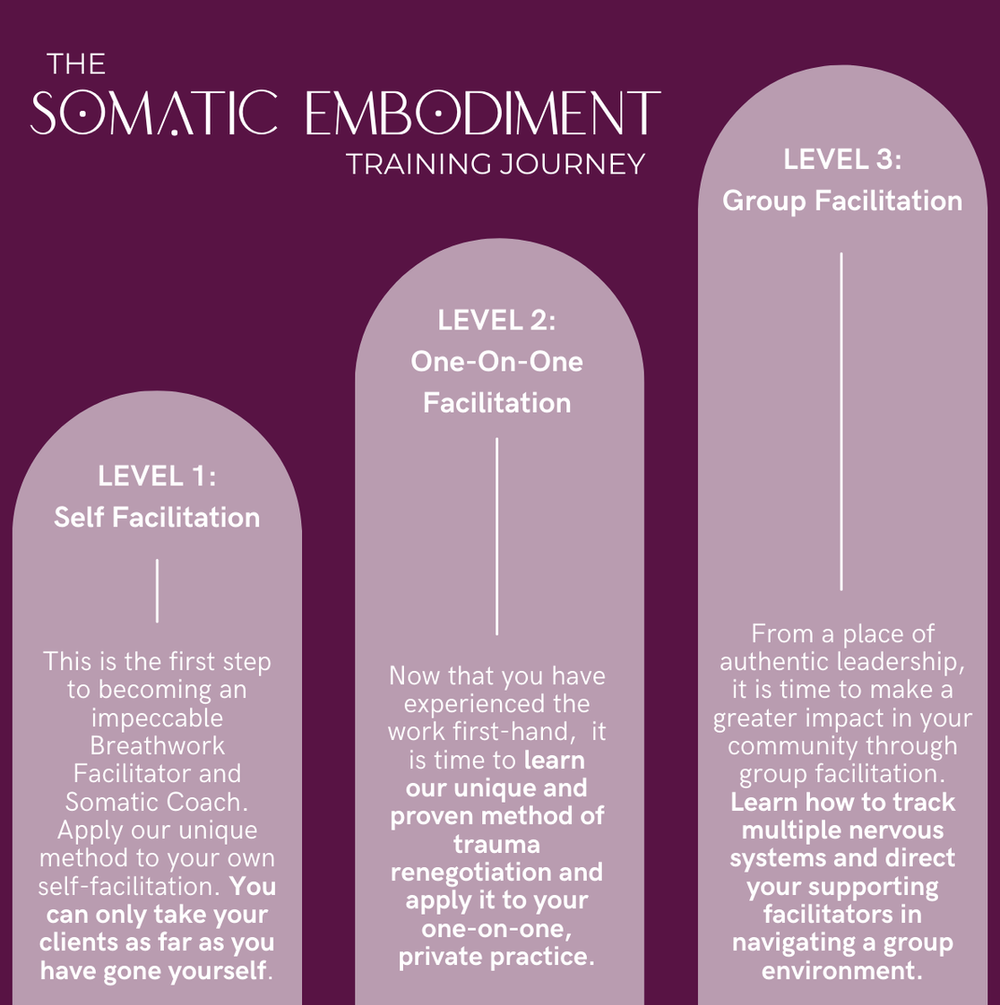 Somatic Embodiment Academy
