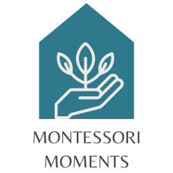 Montessori Moments