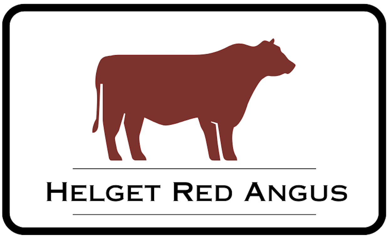 Helget Red Angus