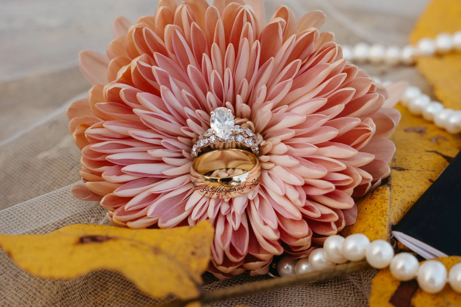 Northwest Arkansas Wedding Photographer