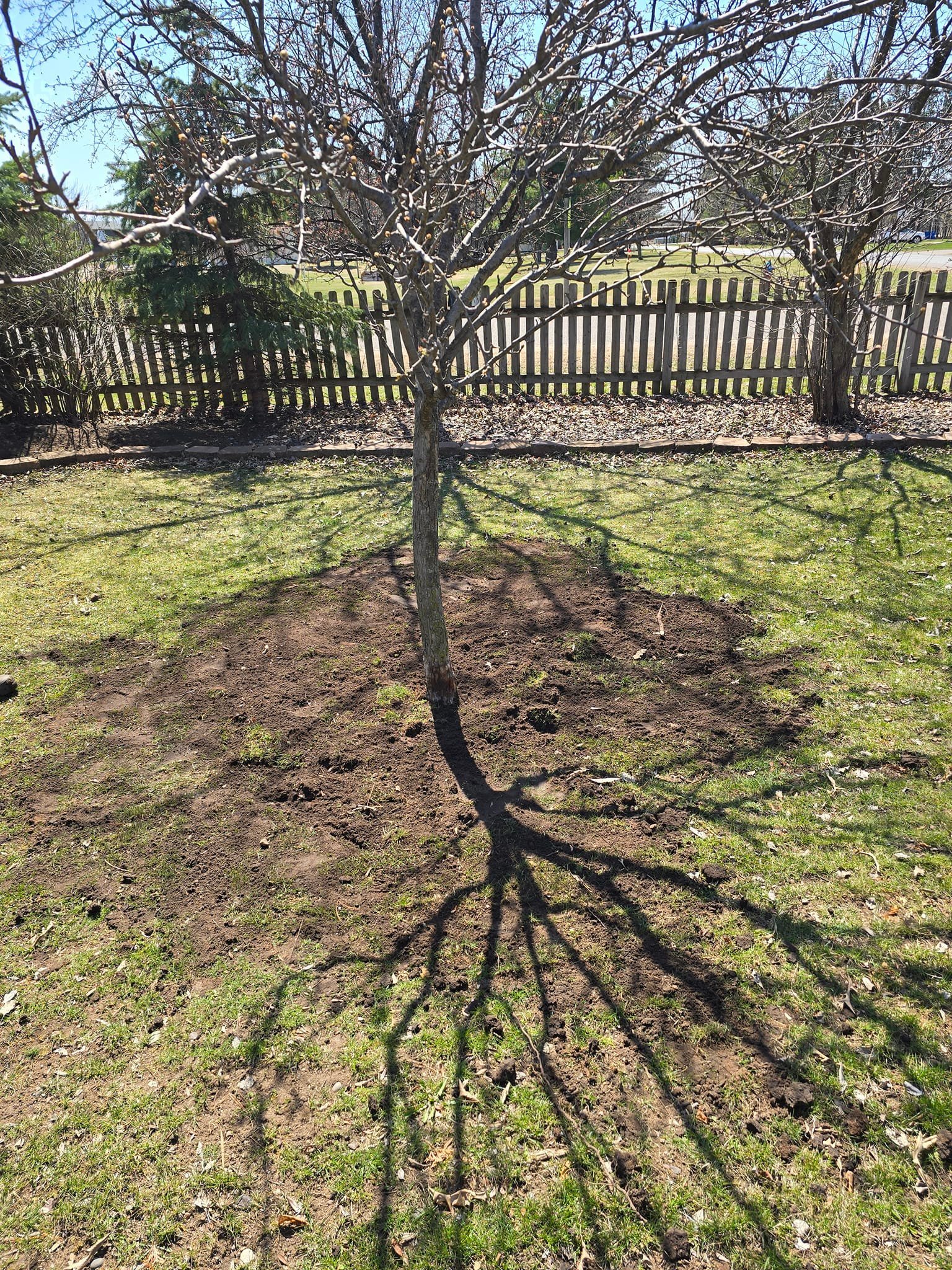 Saturday = Helping with yard work