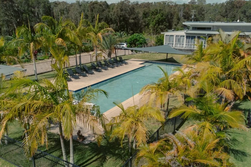 A rectangular swimming pool surrounded by palm trees and lounge chairs with a shaded canopy, in a backyard with a modern house nearby.