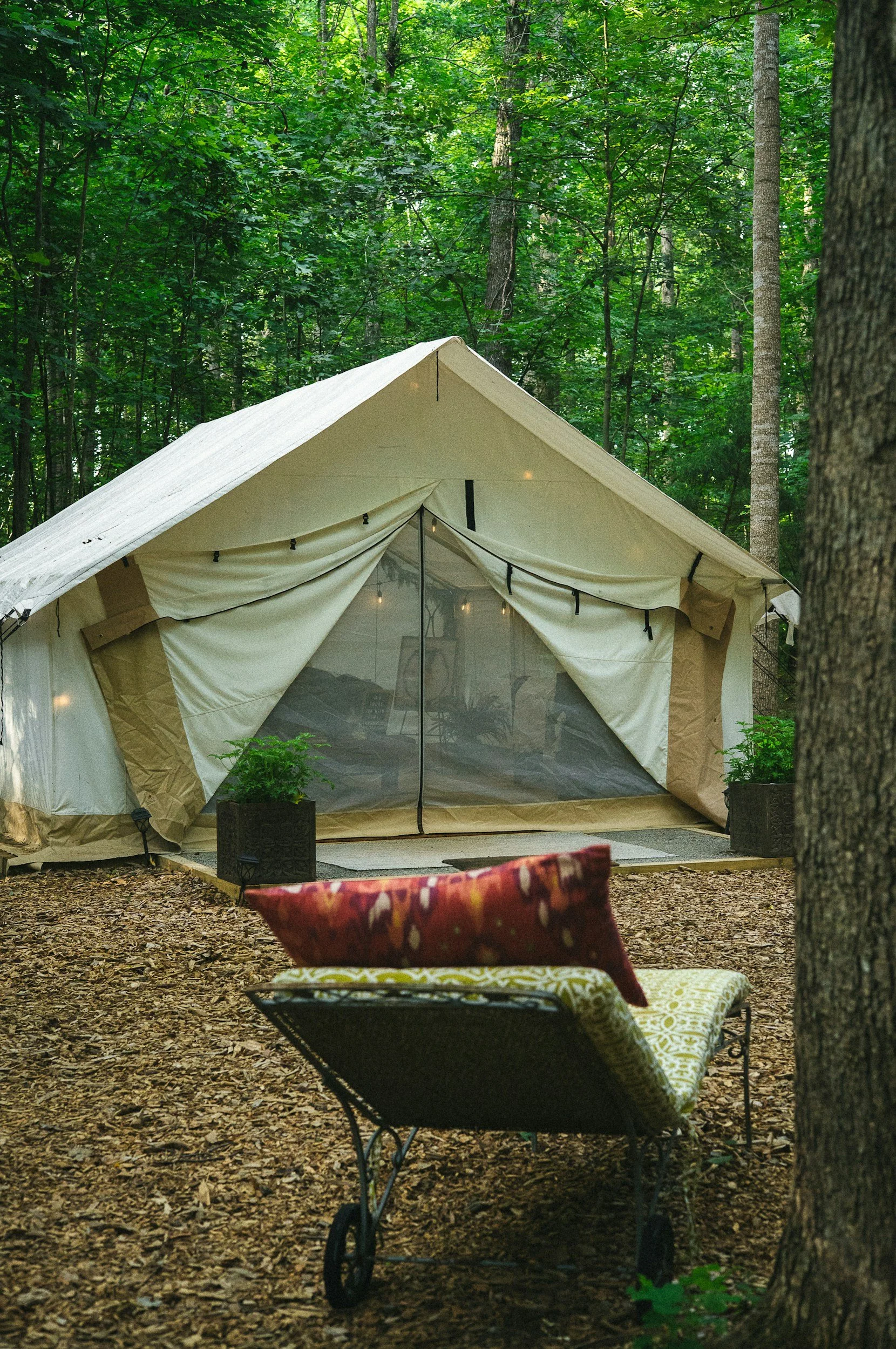 A beige camping tent set up in a wooded area surrounded by tall trees with green leaves. In front of the tent is a wheelbarrow with a patterned cushion and a red pillow. The ground is covered with fallen leaves.