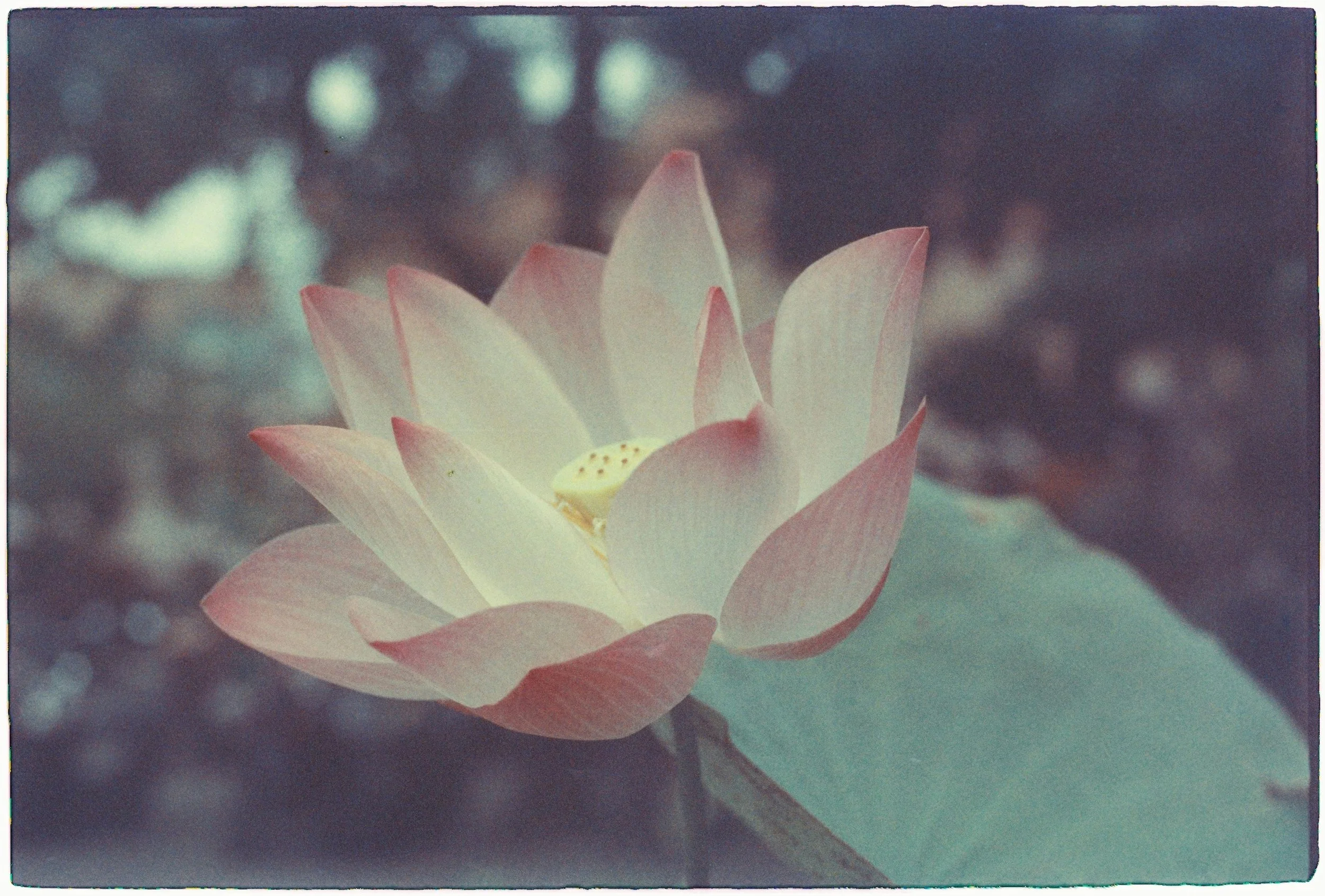 What yoga gives us beyond flexibility.