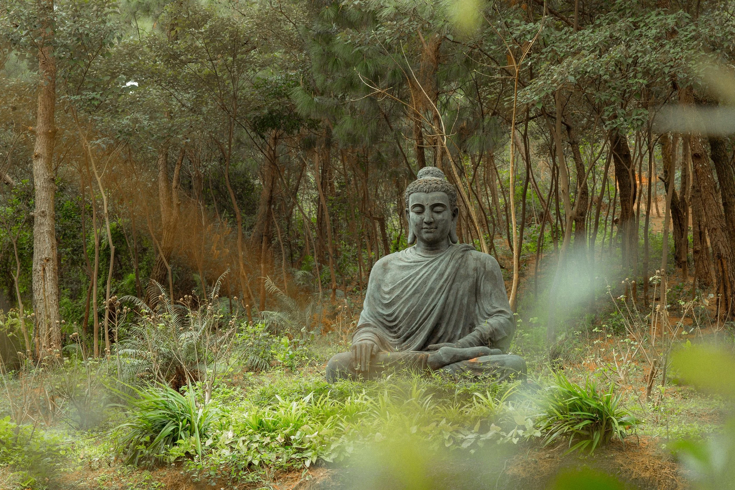 Day Pass -  August Wellness Retreat